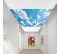 TEMU Adhesivo de pared Cielo Azul Blanca, Decoración para , Porche, Dormitorio, Pintura Autoadhesiva para Techo, Adhesivo de pared de PVC Removible