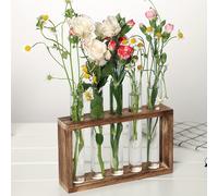 TEMU de cristal minimalista con soporte de madera, forma de pedestal, jarrones de tubo transparente para plantas hidropónicas, recipientes de flores para decoración del hogar (1 pieza)