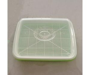 TEMU Juego de 1 bandeja de germinación para cultivo de semillas, germinador de semillas sin suelo, kit de bandeja de germinación para guisantes, frijoles mungo, cacahuetes, y (con )
