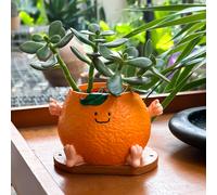TEMU Macetero de Resina con Cara Sonriente Adecuado para Exterior - Redonda para Mesa/Escritorio con Cara Alegre, para Plantas, Ideal para , Decoración de Oficina (Habitación)