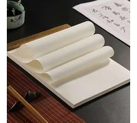 TEMU Papel de arroz A4 impreso 40 unidades/, para pintar, escribir y dibujar. Proyectos e impresión