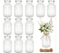 TEMU Paquete de 12 Jarrones, Jarrones de Vidrio, Jarrones para Flores para Decoración de Mesa, Jarrones con Cuerda de , de Cristal, Botellas de Vidrio para Hogar, Fiestas de Jardín, Decoración de