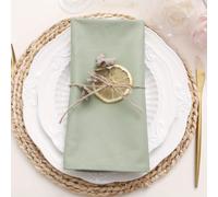 TEMU Paquete de 12 servilletas de tela para cena, , Navidad, Acción de Gracias y otros , que miden 43X43 cm (17X17 pulgadas), reutilizables como paños de cocina