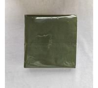 TEMU Paquete de 50 servilletas Color , 2 capas, de papel verde , servilletas desechables para fiestas, servilletas para bebidas para artículos de , artículos para y fiestas, , Halloween, Navidad