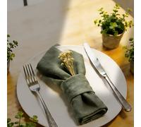 TEMU Paquete de 6 servilletas de lino liso, para fiestas en , recepciones de negocios y fiestas en casa, servilletas de tela reutilizables