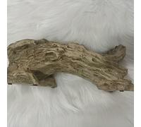 TEMU para plantas suculentas estilo retro, única para interiores y exteriores, escritorio, oficina, con orificios de drenaje, herramienta para decoración rústica y macetas, herramientas de jardinería