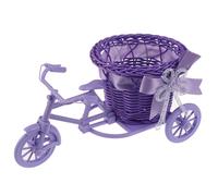 TEMU Pequeño Triciclo Bicicleta Cesta de Flores Almacenamiento Decoración de Mesa de Oficina en Casa