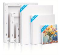 TEMU Set de Lienzos, 6 Lienzos para Pintar, 30 X 20, 20 X 15, 15 X 10 Cm, de Estiramiento, Pintura Blanca, Tableros de para Artistas para Pintura al Óleo, Paneles de Acrílico para Y