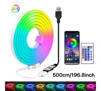 TEMU Tira de luz LED neón RGB de 5V, con tira de luz neón USB con control remoto por aplicación inalámbrica, adecuada para iluminación decorativa del hogar