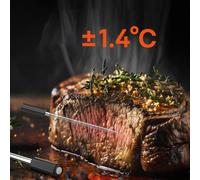Termómetro inteligente para carne con aplicación Bluetooth/Wi-Fi, color gris