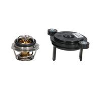 Termostato, refrigerante CALORSTAT BY VERNET TH7335.50J