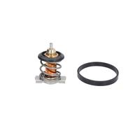Termostato, refrigerante CALORSTAT BY VERNET TH9200.88J
