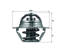 Termostato, refrigerante MAHLE TX 100 89D