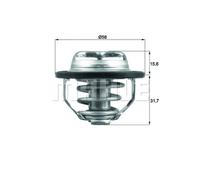 Termostato, refrigerante MAHLE TX 122 82