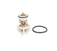 Termostato, refrigerante THERMOTEC D2A010TT