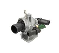 Termostato, refrigerante THERMOTEC D2F007TT