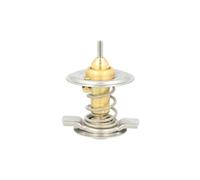 Termostato, refrigerante THERMOTEC D2M004TT