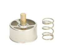 Termostato, refrigerante THERMOTEC D2RV005TT