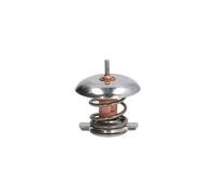 Termostato, refrigerante THERMOTEC D2V001TT