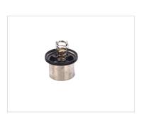 Termostato, refrigerante THERMOTEC D2VO002TT