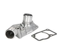 Termostato, refrigerante THERMOTEC D2X024TT