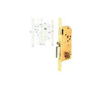 Tesa Cerradura de seguridad R200B566L Monopunto con cilindro T60 Acero inoxidable/Dorado