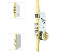 TESA Cerradura de embutir multipunto T2B364566LE con acabado dorado