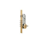Tesa R200B5SCL Cerradura Monopunto de Seguridad, Latonada, Entrada 50 mm, Sin Cilindro, Escudo E700L
