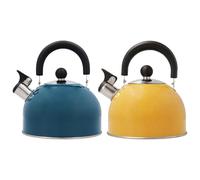 Tetera inoxidable astral 2l surtida