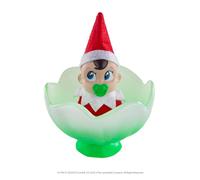 The Elf on The Shelf Frost Pips - Mini Flores | Elfo bebé en Flor mágica de Helada | Elfo bebé en el Estante | Elfos bebés | Elfos bebés (niño con Ojos Azules)