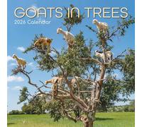 The Gifted Stationary - Calendario de pared cuadrado 2026, cabras en árboles, calendario colgante con temática de animales de 16 meses con 180 calcomanías recordatorias, planificador mensual para el