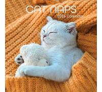 The Gifted Stationary - Calendario de pared cuadrado 2026, siestas de gato, calendario colgante con temática de animales de 16 meses con 180 calcomanías recordatorias, planificador mensual para el