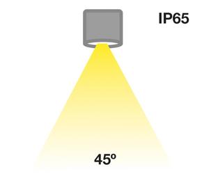 The Light Group SLC MiniOne Fixed LED downlight IP65 blanco 927