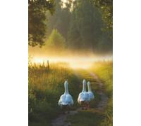 The Quiet Path: A Blank Journal for Thoughts, Dreams & Everyday Moments