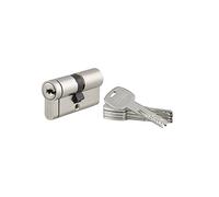 THIRARD - Cilindro de Cerradura de Doble Entrada Transit 2 - Latón - Uso Interior y Exterior - 8 Pines - Anti-Arranque, Anti-Taladro, Anti-Ganzuado, Anti-Snap - 30 x 30 mm - Gris