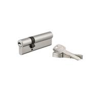 THIRARD - Cilindro de Cerradura Doble Entrada - Trafic 6 - Latón - Alta Seguridad - Cilindro Europeo - Anti-Arranque, Anti-Taladro, Anti-Ganzuado - 30 x 65 mm - Gris - 5 Llaves Reversibles