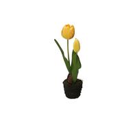THUN Tulipán Amarillo S