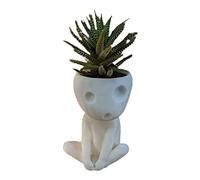 Tianbi Maceta de Cabeza Luminosa para Cactus y Suculentas - Bonita Maceta de Resina para Decoración de Casa y Oficina