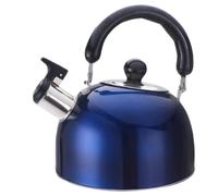 TIECHUINIUB Tetera silbante de acero inoxidable, tetera silbante, hervidor de agua, hervidor de agua para estufa de gas, azul, 1 litro