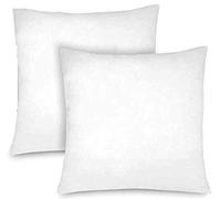 TIENDA EURASIA® - Pack de 2 Rellenos de Cojín, Relleno de Fibra Hueca Neotherm® con Gran Capacidad de recuperación, Resistente al Uso y a Lavados (40 x 40 cm)