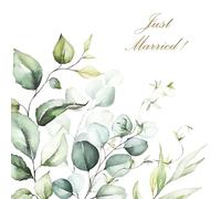 Tiflair - Servilletas de papel de eucalipto para boda, 3 capas