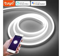 Tira de luces LED de neón con enchufe europeo, lámpara de tubo de cuerda Flexible con Control WIFI, DC12V/24V, 120LED/M, funciona con Alexa y Google Home, Tuya Smart Life