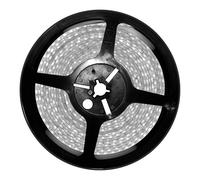 Tira led 12v 4,8w/m smd3528 60led/m 6000k ip65 5m.