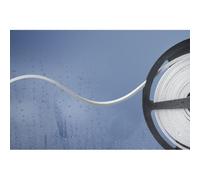 Tira LED 5m 24V 2700K IP66 - Cinta luminosa/manguera/tira 24V blanca 51540728 | Barthelme | 51540728 | Cinta / manguera / banda de luces