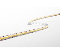 Tira LED CENTURY ACCENTO PRO, 24V DC, 14W/m, índice de reproducción cromática (CRI) 93, 240 LEDs/m, 5 metros, 2700K, IP20