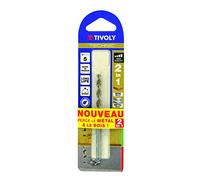 TIVOLY 10804420250 - BROCA 2 en 1 MADERA, METAL/Alto rendimiento TECHNIC de 2,5 mm largo 57 mm profundidad de corte 30 mm con mango cilíndrico