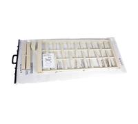Tomaino - Kit para alzar la jardinera con espaldera de plástico, compatible con modelo Ethica Stefanplast, exterior jardín, macetas y flores trepadoras, privacidad terraza balcón (blanco)