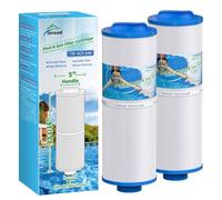 TOREAD 4CH-949 - Filtro de spa sustituye a PWW50L, FIL50-5D13H15FCT-3, paquete de 2