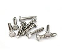 Tornillo Autorroscante Hexagonal Acero Inox A2 DIN 7976 (4.2x13) x10