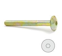 Tornillo cabeza bombata allen bicromatado 8-120